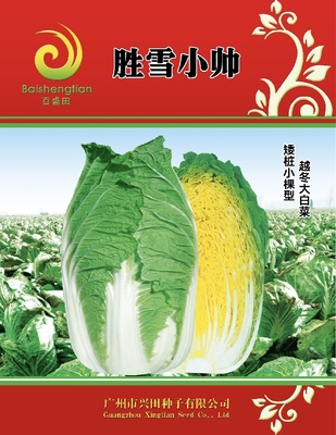 勝雪小帥