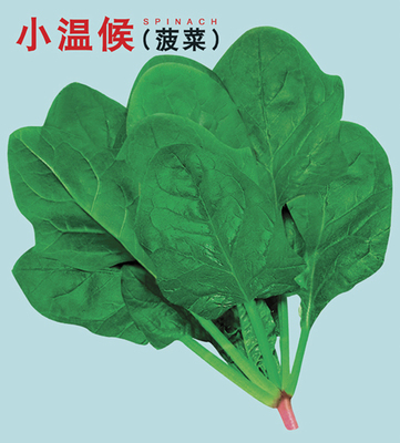 小溫候