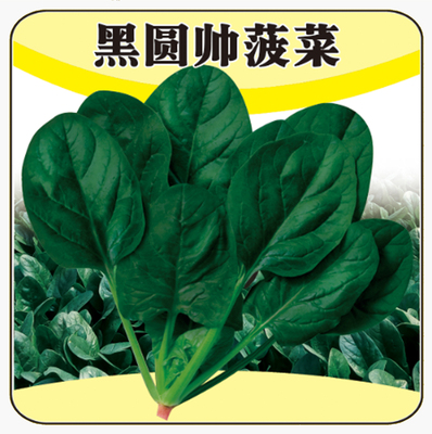 黑圓帥