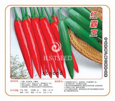 紅霸王