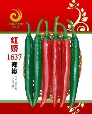 紅嬌1637