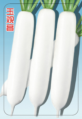 玉觀音