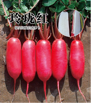 玲瓏紅