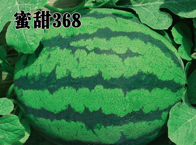 蜜甜368