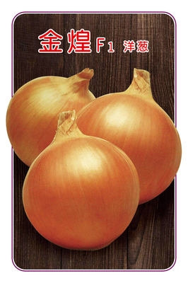 金煌