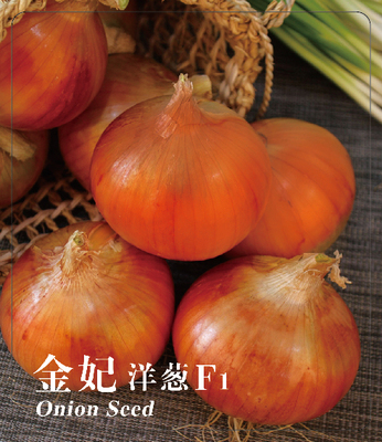 金妃