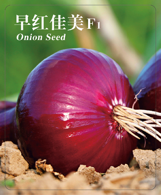 早紅佳美