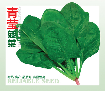 青瑩