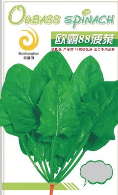 歐霸88
