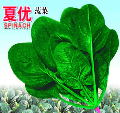 夏優(yōu)