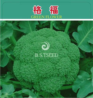 格福
