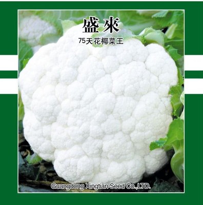 盛來75天