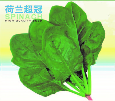 荷蘭超冠