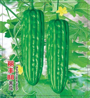 麗豐88