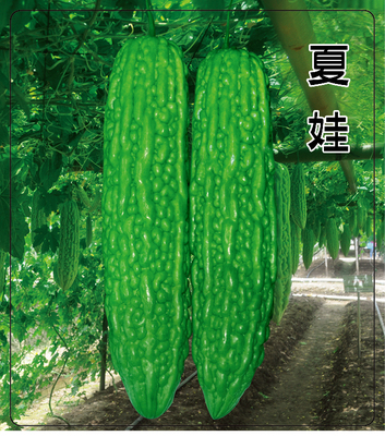 夏娃