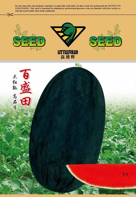 百盛田黑美人