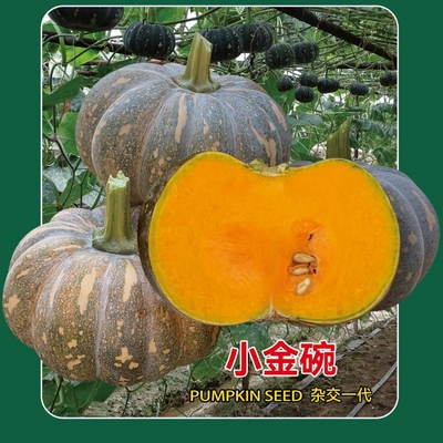 小金碗