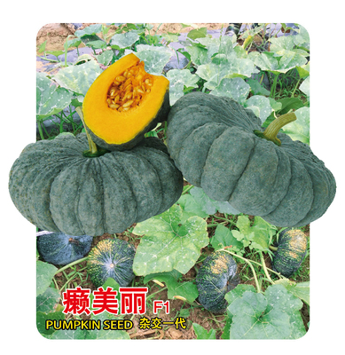 癩美麗