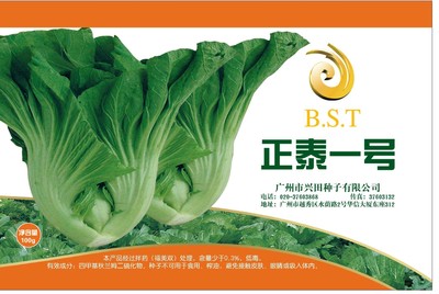 正泰一號包心芥