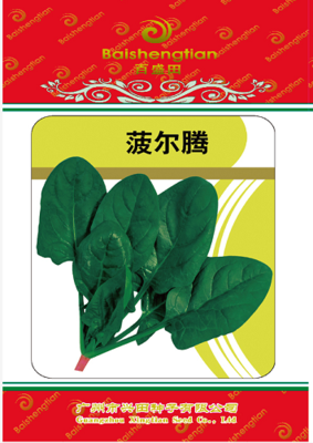 菠爾騰